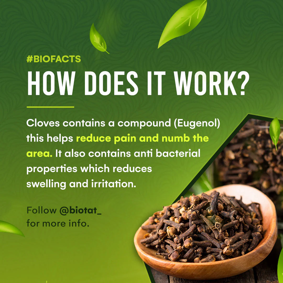 BIOTAT Numbing Hybrid Tattoo Glide - Tattoo Boutique