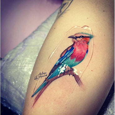 photo finish proton 200ml on top of a Colorful bird tattoo