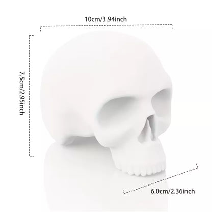 White Tattoo practice skull for apprentices and beginners shown with dimension lines and text indicating height 10cm/3.94inch, depth 6.