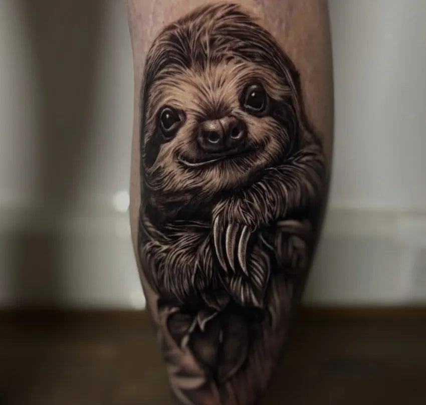 Realistic animal sloth tattoo