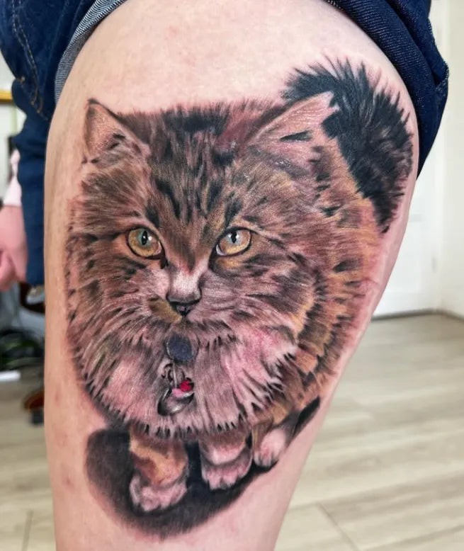Detailed tattoo of a cat on a person's arm.